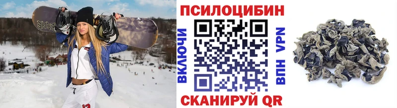 где купить наркоту  omg вход  Галлюциногенные грибы Psilocybine cubensis  Калуга 